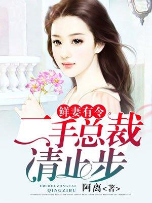 二婚嫁总裁