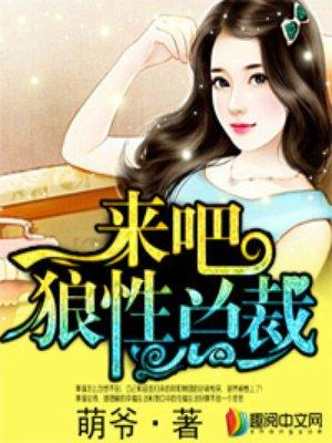 狼性总裁夜傲风苏慕