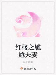 红楼之尴尬夫妻结局