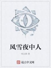 风雪夜什么意思