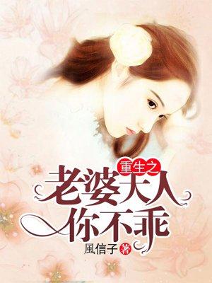 重生之老婆太难宠