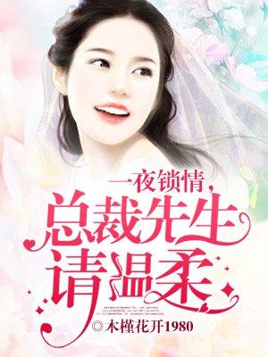 一夜锁情总裁先生太温柔全文免费无广告