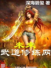 关于未来武道类的