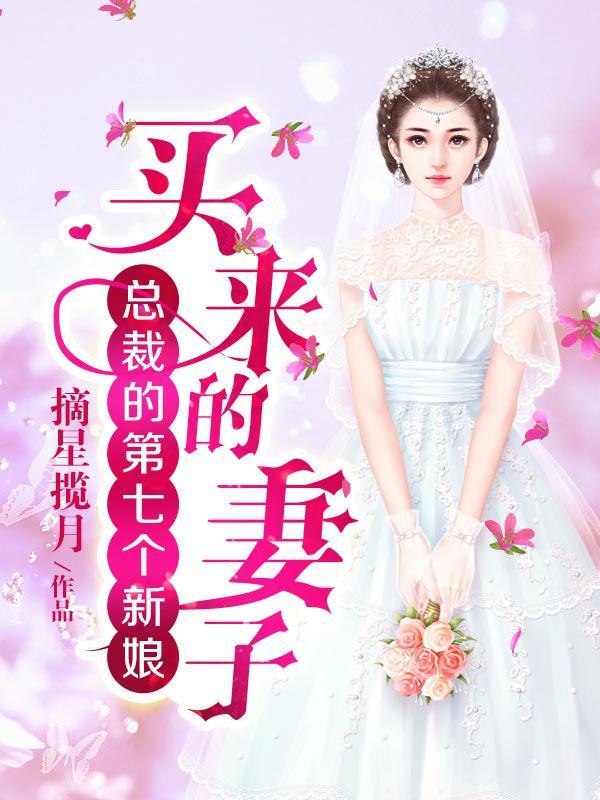 总裁的第七个新娘买来的妻子 摘星揽月