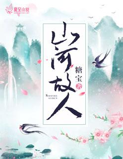 山河故人电影高清完整版