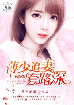 薄少追妻套路深免费全版