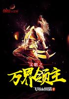 文明之万界领主全本