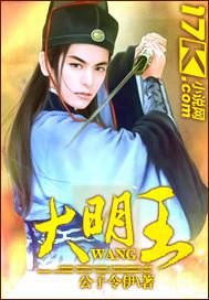 大明王朝1566 电视剧