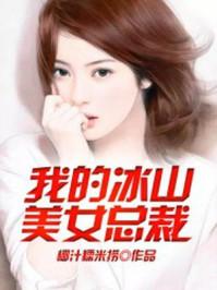 我的冰山总裁老婆叶流云