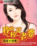 我的校花老婆徐浪最后是什么境界