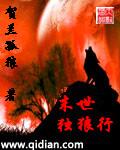 末世独行的