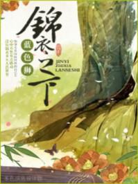 锦衣之下男主