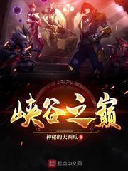 峡谷之巅点券