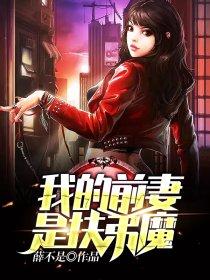 我的前妻是漫画