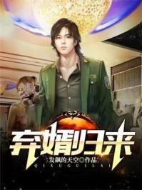 一世豪婿叶凡秋沐橙大结局