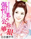 强悍老公你够狠全文阅读