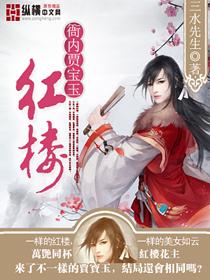 红楼衙门贾宝玉