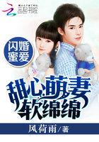闪婚甜妻密密宠