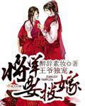 将军王爷by