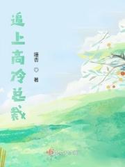 追上高冷总裁免费阅读