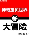 神奇宝贝大冒险进化