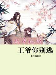 妃卿莫属王爷别惹我