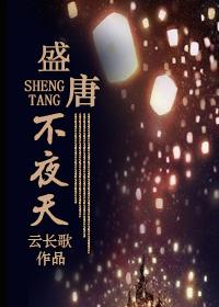 盛唐不夜天攻