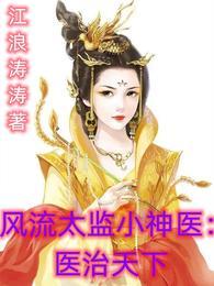 风流太监阅读