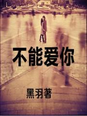 不能爱你byapple讲的什么