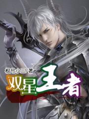 王者荣耀双心
