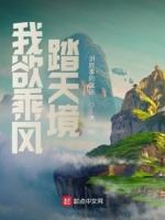 我欲乘风归去的下一句