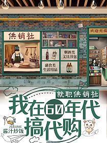 就职供销社我在60年代搞代购txt盘