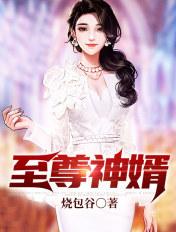 至尊神婿全书免费