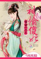 神偷宠妃全文免费