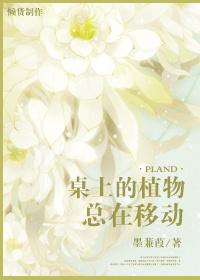 植物在桌子的旁边