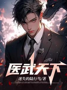 医武完结