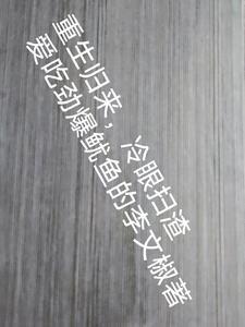 重生1994冷枫重生归来护妻炒股