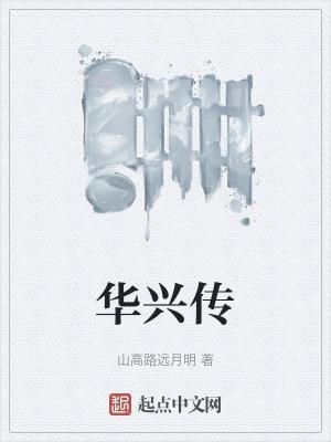 华星传奇全本