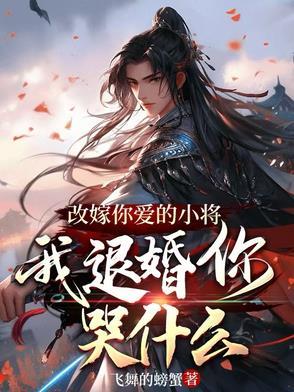 改嫁推荐