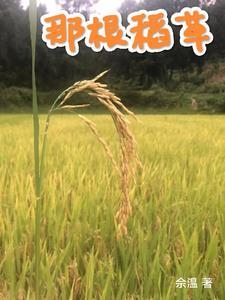 你就是那根稻草
