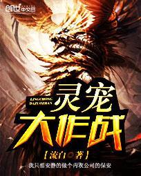 灵宠大作战宠物攻略