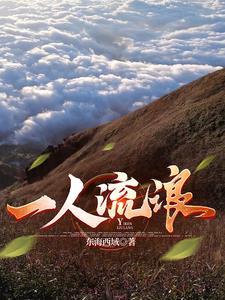 一个人出去流浪