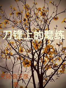 刀锋打磨是什么意思