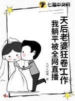 我老婆是天后却