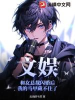 和女总裁的日常生活