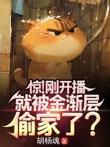 金渐层的坏处