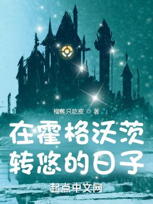 在在霍格沃兹读书的日子