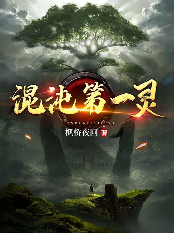 混沌第一灵 枫桥夜回