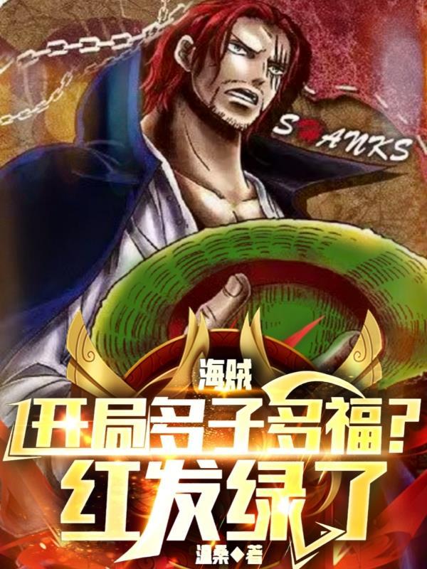 海贼开局揍凯多