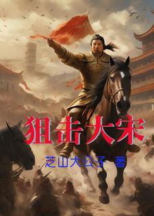 宋佳唱的再见歌词